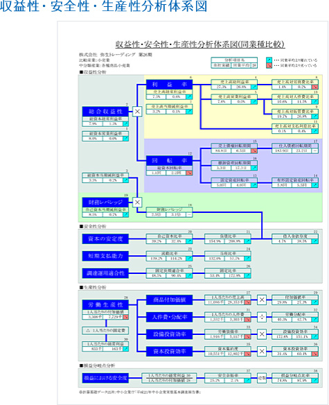 収益性・安全性・生産性分析体系図